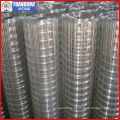Electro galvanized Welded mesh/hot dipped Welded wire mesh(professional producer)
